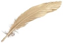 Ganzenveren Goud 16-18 cm pak ca. 12 stuks