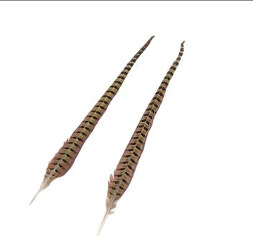 Fazantenveren large 45-50 cm 2 stuks