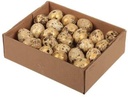 Kwarteleitjesmix Naturel Goud 48 stuks uitgeblazen voor decoratie