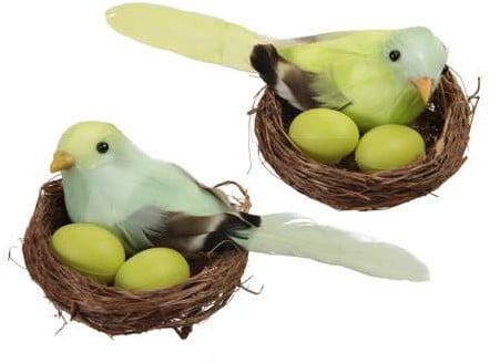 Vogelnestjes met 1 vogel en 2 eitjes Pastelgroen 7.5 cm doos 6 stuks