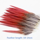 Luxe Veertjes Roodbruin voor Dromenvanger ca. 15 stuks