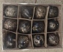 Kwarteleitjes Black Zwart doos 12 stuks uitgeblazen voor decoratie