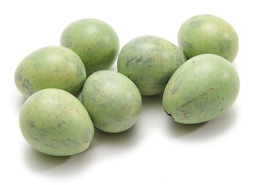 Kwarteleitjes Matcha Groen doos 60 stuks uitgeblazen voor decoratie