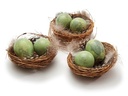 Vogelnestjes met 2 kwarteleitjes en veertjes Matcha Groen 7 cm doos 6 stuks