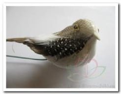 Vogeltjes Naturel lowbudget 12 stuks