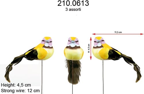 Vogeltje Geel doos 12 stuks
