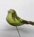 Vogeltjes Lentegroen lowbudget 12 stuks