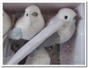 Vogeltjes Wit Grijs met clip 13x6,5x4 cm 2 stuks