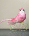 Vogeltje de luxe Roze Twotone doos 12 stuks