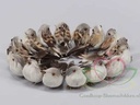 Vogeltjes Lichtbruin natuurlijk 9 cm 16 stuks
