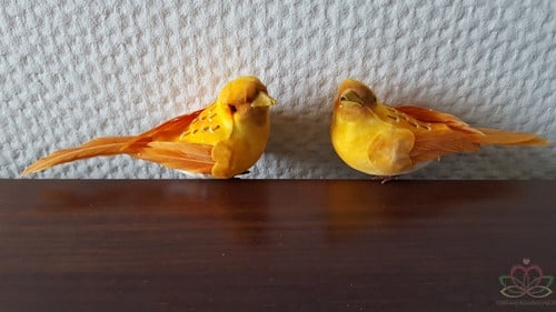 Vogeltje de luxe Okergeel doos 12 stuks