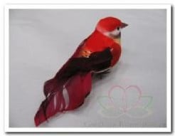 Vogeltje de luxe Rood doos 12 stuks
