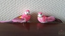 Vogeltje de luxe Hard Roze doos 12 stuks