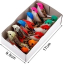Vogeltjes Gemengd 12 stuks
