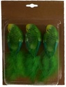 Prachtige vogeltjes op clip Groen 5,5x4,5x17 cm 3 stuks 
