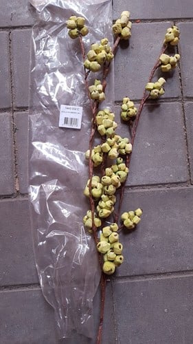 Shola Mini Berry Lime Foambloem 3 stuks