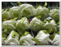Foamroos Elegant Cremegroen 5 cm per stuk