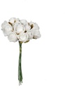 Mini Foam Roos Wit 2 cm Doosje 144 stuks