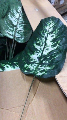 Dieffenbachia Blad Donkergroen Gestreept Zijdenblad