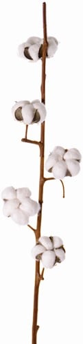 Katoen Tak Cotton Spray Premium Quality Kunstbloem 5 bloemen 90 cm 