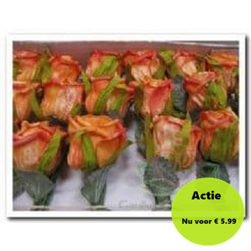 Foamroos Elegant Oranje Comb 5 cm doosje 36 stuks