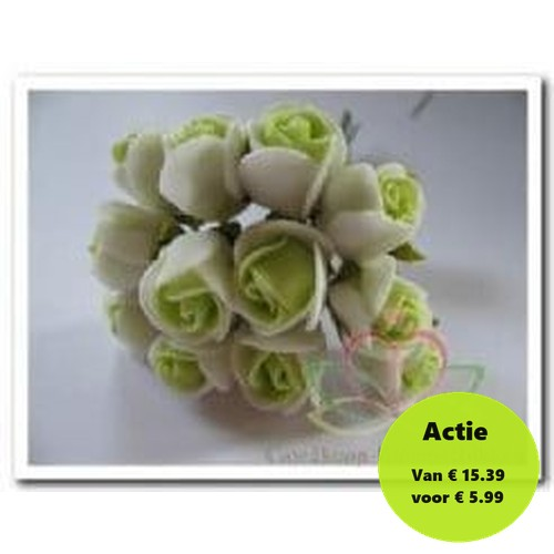 Mini Foam Roos Groen Creme 2 cm Doos 144 stuks