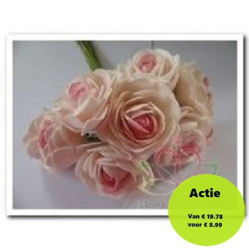 Camelia Roos Cremerose Foambloem 4 cm doos