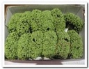 Fieldberries Groen doos