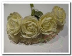 Camelia Roos Creme Foambloem 4 cm doos