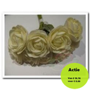 Camelia Roos Creme Foambloem 4 cm doos
