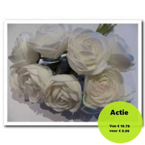 Camelia Roos Wit Foambloem 4 cm doos