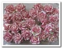 Mulberry Roos Classic White + Pink Roses pack