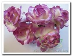 Mulberry Roos Purple 2tone 5 cm pak 25 stuks