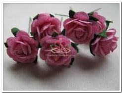 Mulberry Roosjes Rose 10-15 mm pak