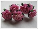 Mulberry Roosjes Rose 10-15 mm pak