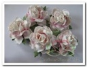 Mulberry Roos Old White SoftPink 3,5 cm pak 50 stuks