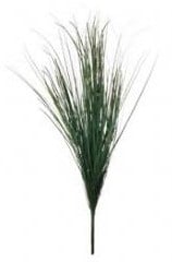 Berengras Toef op draad 60 cm per stuk