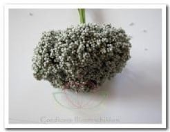 Fieldberries Antraciet Zilvergrijs bundel