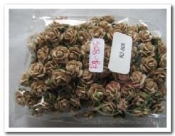 Mulberry Roosje Taupe pakje 100 stuks