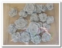 Bloemen Blauw Polyresin doosje 18 stuks