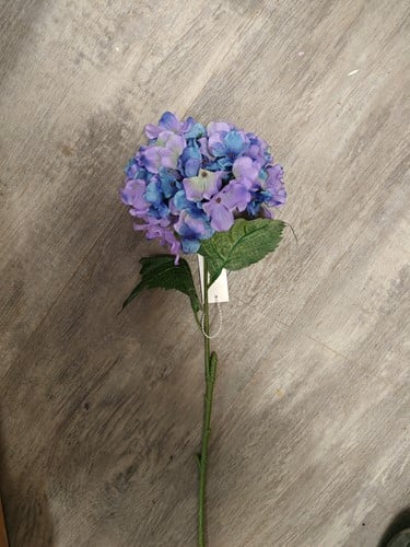 Hortensia Hydrangea Paarsblauw Zijdenbloem