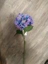 Hortensia Hydrangea Paarsblauw Zijdenbloem