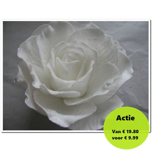 Foamroos Sophie Snow White 15 cm Doos 12 stuks