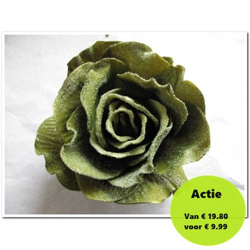 Foamroos Sophie Snow Smaragd Groen 15 cm Doos 12 stuks
