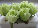 Zijden Roosjes Lichtgroen 5-6 cm 10 stuks