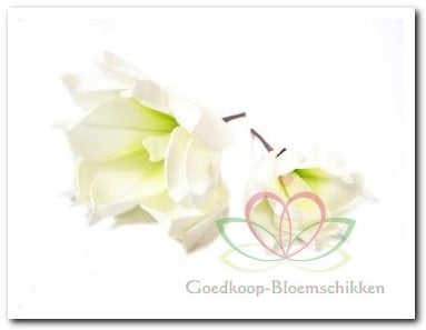 Magnolia Soft Groen Foambloem Kort doos 12 stuks