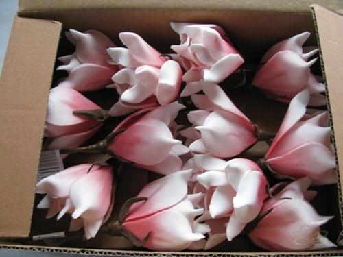 Magnolia Soft Roze Foambloem Kort doos 12 stuks