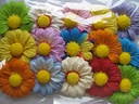 Mulberry Gerbera Summer mixed ca. 65 mm pak 15 stuks
