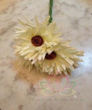 Aster Gerbera Crème Groen Foambloem Doos 30 stuks