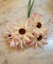 Aster Gerbera Crèmepink Foambloem Doos 30 stuks